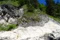 Erebia_styx_L_11.jpg Erebia_styx_L_11.jpg