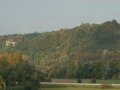Minucia_lunaris_L_01.jpg Minucia_lunaris_L_01.jpg