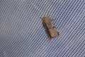 Orthosia_incerta_S_06.jpg Orthosia_incerta_S_06.jpg